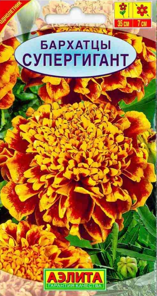 Бархатцы Синие Купить Семена