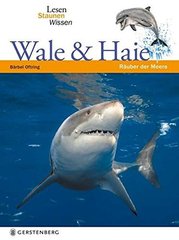 Lesen - Staunen - Wissen. Wale & Haie