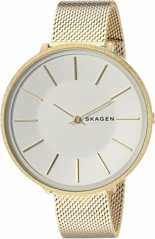 Наручные часы Skagen SKW2722 фото