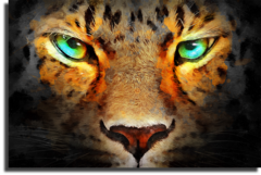 Постер "Глаза тигра"