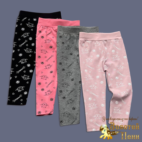 Лосины хлопок д (3-6) 241223-R7006