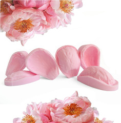 Пион Корал шарм