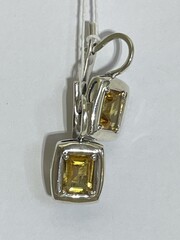 218 натур (серьги из серебра)