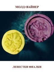 Молд пластиковый+вайнер силиконовый 