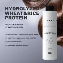 Limba Cosmetics Активатор  Activator Hydrolyzed Wheat&Rice Protein, 250 мл(lmb17)