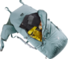 Картинка рюкзак туристический Deuter Aircontact Core 65+10 SL Shale-Ivy - 6
