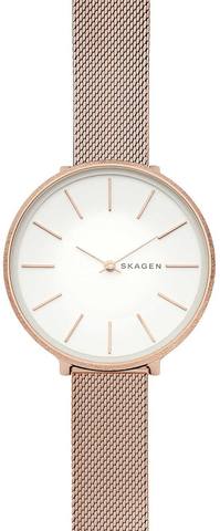 Наручные часы Skagen SKW2726 фото