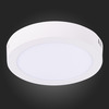Светильник настенно-потолочный ST Luce ST112.542.12