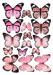 Вафельная картинка Бабочки 20