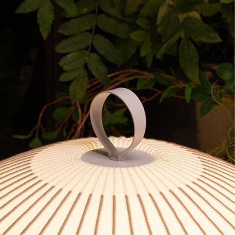 Настольная светодиодная лампа Divinare FIREFLY 1808/33 TL-50