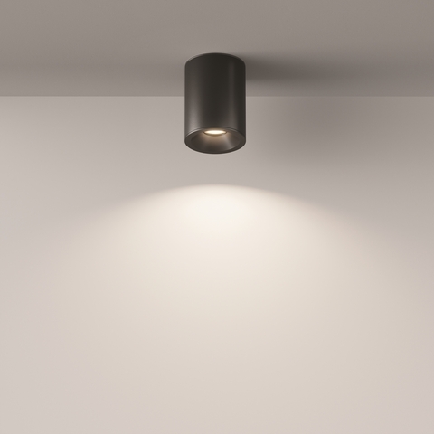 Накладной светильник Maytoni Alfa C029CL-01B