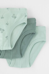 трусы/ уп  для мальчика  К 1928-3уп/полынь,голубая дымка,пальмы