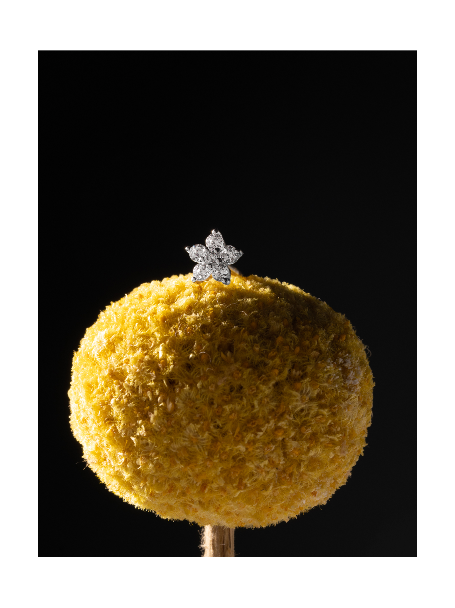 Пирсинг Лютик