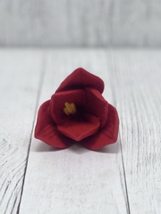 Силиконовая форма 