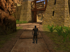 Borderzone (для ПК, цифровой код доступа)