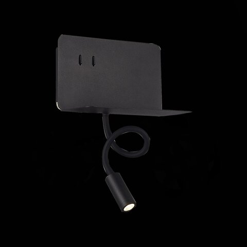 Светильник настенный ST Luce Pinaggio SL1576.401.02