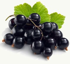 Пюре фруктовое Proff Puree в саше ЧЕРНАЯ СМОРОДИНА 250 гр. замороженное