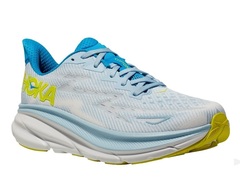 ICE WATER / EVENING PRIMROSE