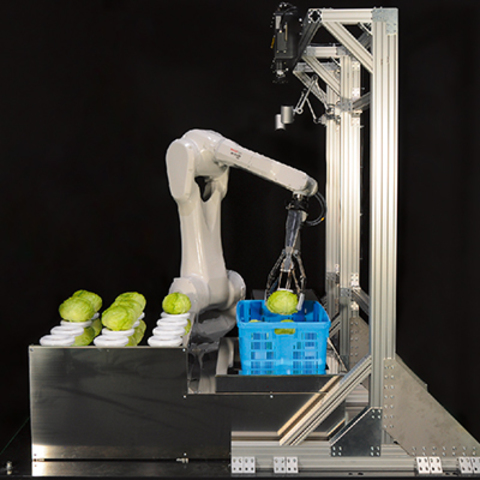 Промышленный робот Fanuc M-20iB/25C