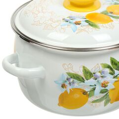 Кастрюля сталь, эмал, 3 л, с крыш, крышка сталь, сферическая, Сиб товары, Лимоны, 3MC181P, индукц
