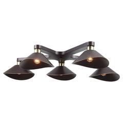 Потолочная люстра Lussole Opelika LSP-9535