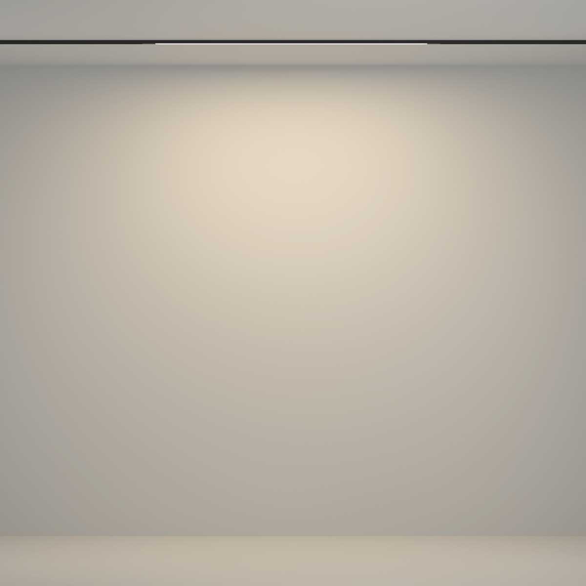 Трековый светильник Maytoni Technical TR180-1-12WTW-B