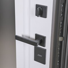 Входная дверь уличная АСД с терморазрывом 3К Норильск муар коричневый с зеркалом/ Белый матовый