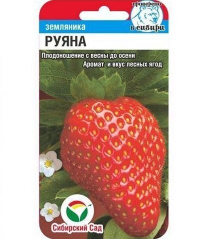 Земляника Руяна 10шт (Сиб Сад)