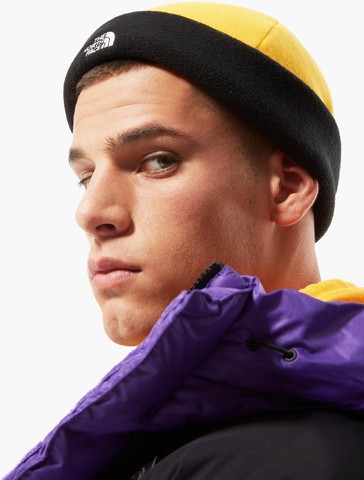 Шапка The North Face Denali Beanie 