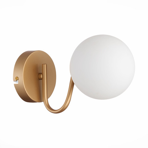 Светильник настенный Evoluce Calabria SLE220601-01