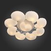 Люстра потолочная ST Luce Conglia SL534.502.09