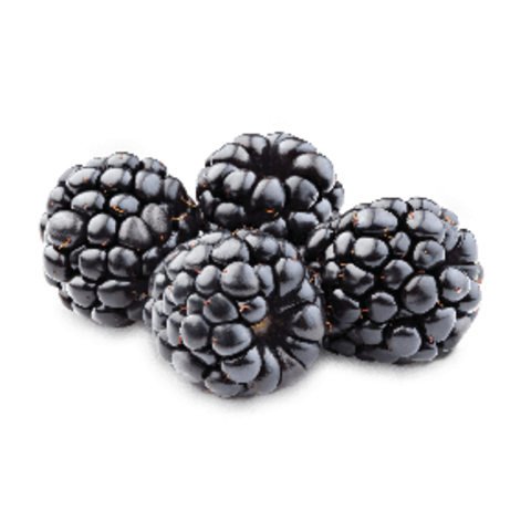 Fumari Blackberry