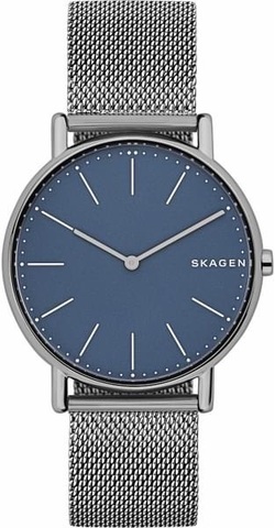 Наручные часы Skagen SKW6420 фото