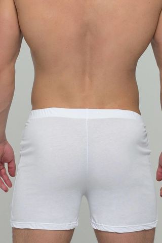 Мужские трусы 317 White Salvador Dali