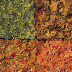 TetraMenu 4в1 (мини хлопья) 250мл в одной баночке 4 разных корма для всех видов рыб (Германия)