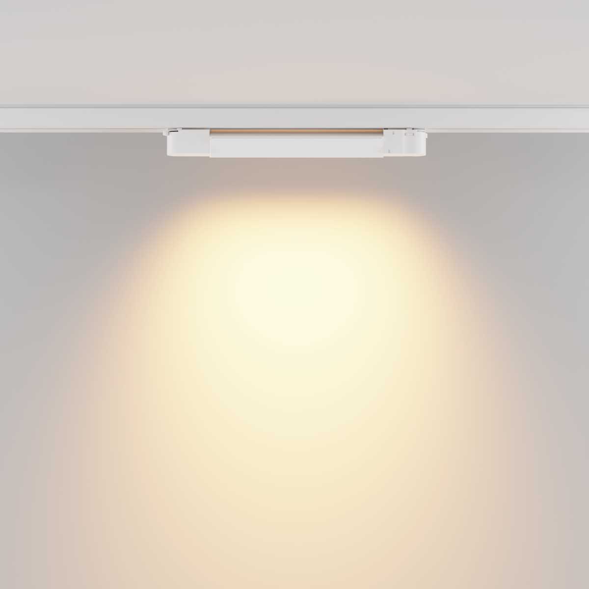 Трековый светодиодный светильник Maytoni Technical Basis TR196-3-10W2.7K-W