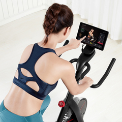 Xiaomi Велотренажер Yesoul BS3-B PRO