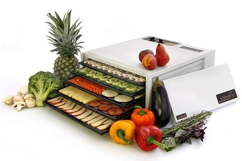 Дегидратор (сушилка) Excalibur Standart 5W белый