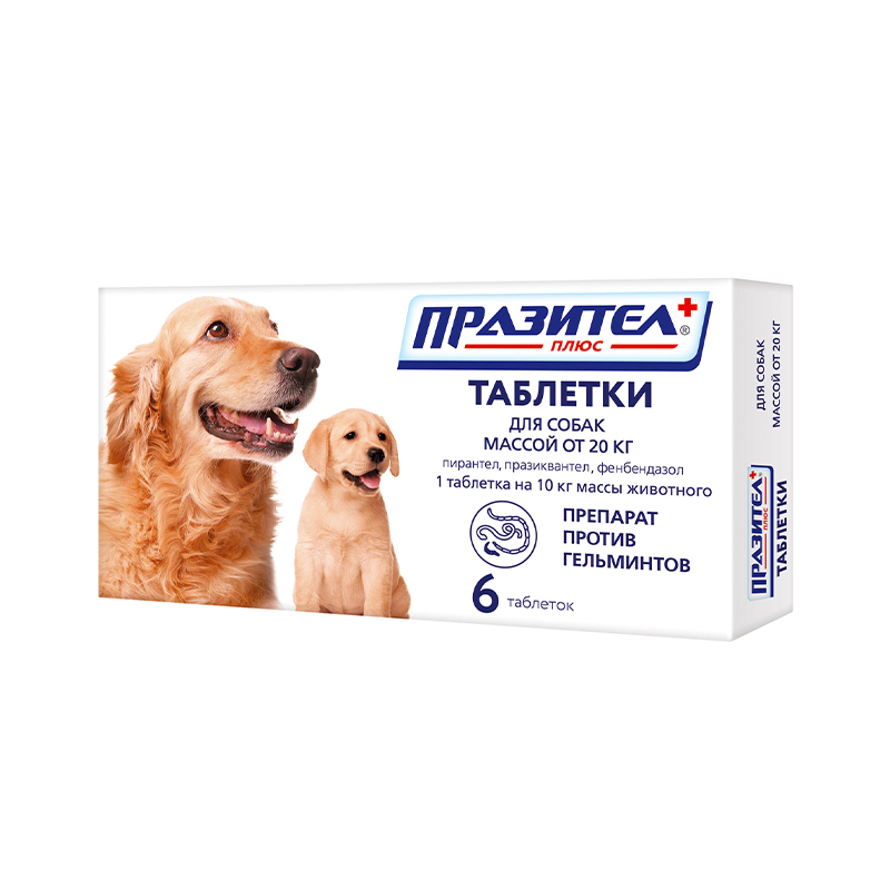 Фронтлайн нексгард для собак 10-25 кг. 5кг таб. Симпарика 20-40. Таблетки от глистов для собак милпразон. Нексгард для собак 10-25кг.