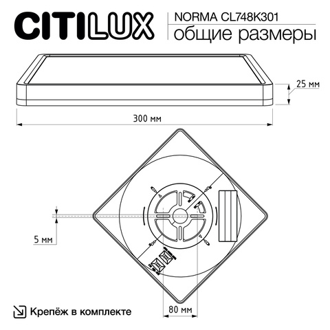 Потолочный светодиодный светильник Citilux NORMA CL748K301