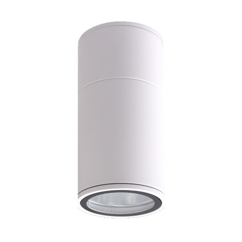 Накладной светильник Crystal Lux CLT 138C180 WH