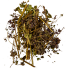 Душица обыкновенная (трава, 50гр.)  (Старослав)