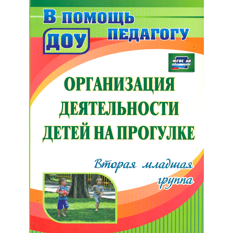 Деятельность на прогулке в младшей группе. Организация деятельности детей на прогулке. Организация деятельности детей на прогулке мл гр. Организация прогулки в детском саду по ФГОС. Книга прогулки в детском саду.