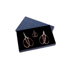 Набор ножниц RTO серебро с золотом