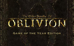 The Elder Scrolls IV: Oblivion - GOTY (для ПК, цифровой код доступа)