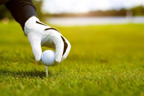 Перчатка для гольфа Детская Srixon ALL WEATHER