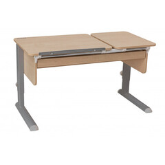 Растущая парта Астек Твин-2 Лайт (1150×575 мм)