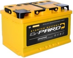 G-PARD 6CT- 100 аккумулятор