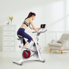 Xiaomi Велотренажер Yesoul BS3-W PRO