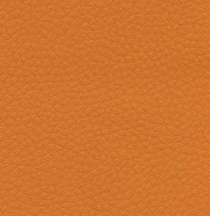 Искусственная кожа Alba dollaro 529 (Альба долларо 529)
